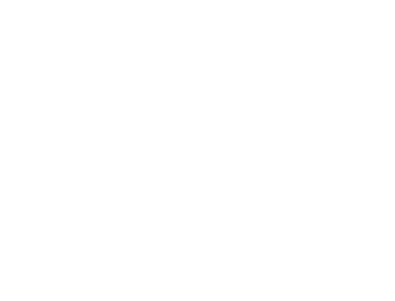 RDT Engineers Denmark